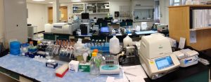 Center for Genome Innovation