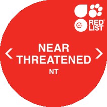 near-threatened logo